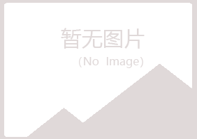 田东县分心化学有限公司